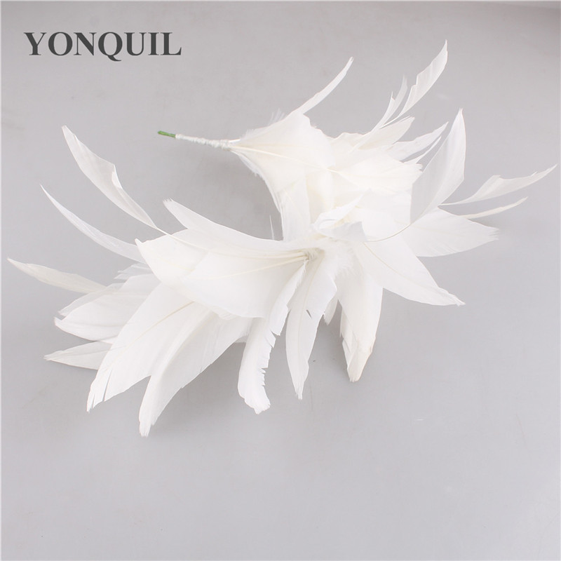 Nouvelles belles plumes de din - Art And Craft Hair avis et prix