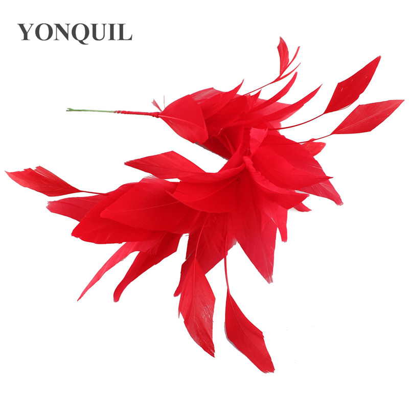 Nouvelles belles plumes de din - Art And Craft Hair avis et prix
